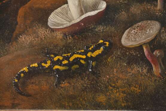 Pilze mit Insekten und Feuersalamander - photo 4