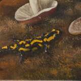 Pilze mit Insekten und Feuersalamander - photo 4