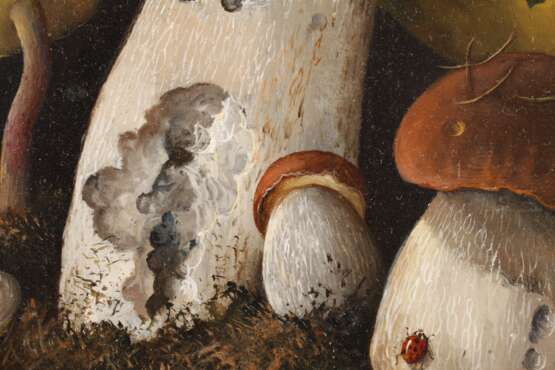 Pilze mit Insekten und Feuersalamander - photo 5