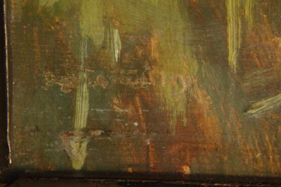 Sommerliche Siedlung - photo 3