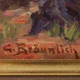Hans Georg Bräunlich, Altstadtblick - Foto 3