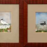 4 Vogeldarstellung aus Vogelfedern, je 10x7 cm, im Passepartout hinter Glas und Rahmen - Foto 1