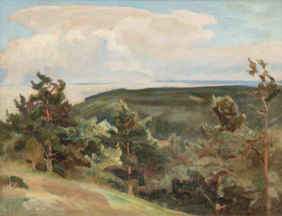 Bunke, Franz (1857 Schwaan-1939 Oberweimar) "Bewaldete Küstenlandschaft", Öl/ Karton, sign., bez. und dat. 1923 u.l., 42,5x54,5 cm, Rahmen (Studium in Berlin und Weimar, Begründer der Schwaaner Malerkolonie, Li… - photo 1