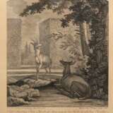 Ridinger, Joh. Elias (1698 Ulm-1767 Augsburg) "Tann-Hirsch", Kupferstich, 40x31,5 cm, hinter Glas und Rahmen - photo 1