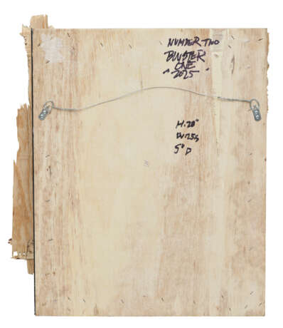 BlusterOne - photo 2