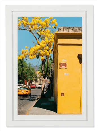 ERICA THORPE - photo 2