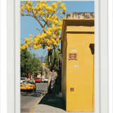 ERICA THORPE - photo 2