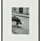LINDSEY GILFEATHER - Foto 2