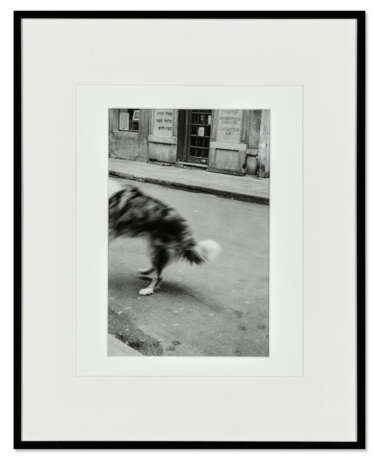 LINDSEY GILFEATHER - Foto 2