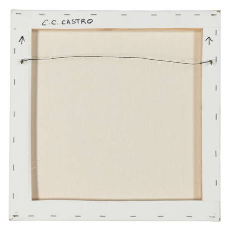 C. C. CASTRO - Foto 2