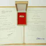 DDR: Ehrenspange zum Vaterländischen Verdienstorden, in Gold, im Etui, mit Urkunde für den Prof. Dr. Josef Naas - Mathematiker, Direktor und Professor an der Deutschen Akademie für Wissenschaften in Ost-Berlin. - photo 1