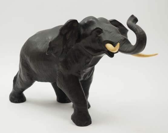 Elefant. - Foto 1