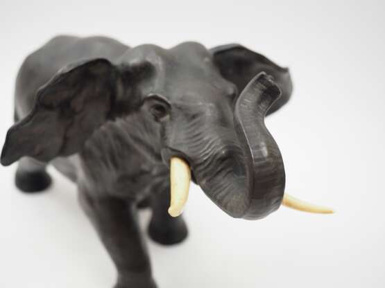 Elefant. - Foto 2