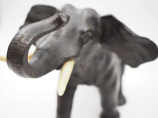 Elefant. - Foto 4