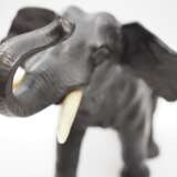 Elefant. - Foto 4