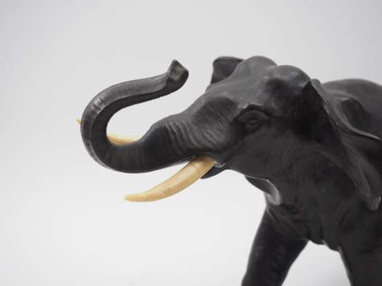 Elefant. - Foto 5