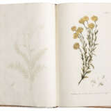 Miller, Philip, Abbildungen der nützlichsten, schönsten und seltensten Pflanzen - photo 3
