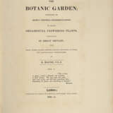 Maund, Benjamin, The Botanic Garden - фото 2