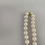Perlencollier mit Goldverschluss - Zuchtperlenkett… - фото 6
