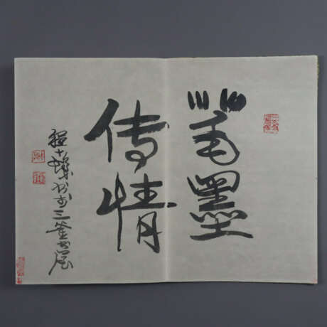 Cheng Shifa (1921-2007) - Leporello-Buch mit 20 do… - photo 7