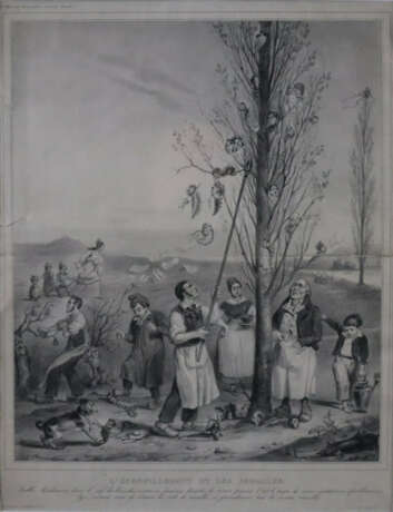 Grandville, J. J. (1803-1847, nach) - "L'echenille… - Foto 1