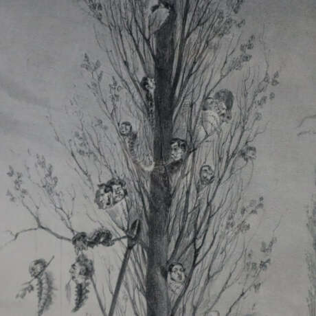 Grandville, J. J. (1803-1847, nach) - "L'echenille… - Foto 7