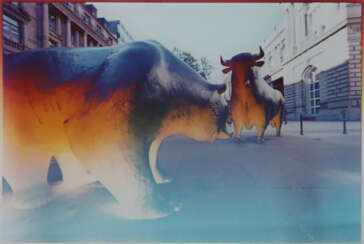Wohl, Gernot C. (*1965 Frankfurt am Main) - Bulle …
