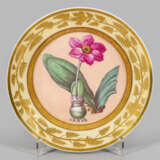 Seltener botanischer Empire-Teller mit "Blutblume"… - photo 1
