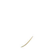 Aperçu. Entouragering mit Amethyst und Diamanten Gelbgold,…
