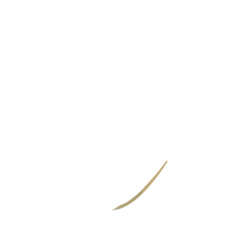 Entouragering mit Amethyst und Diamanten Gelbgold,…