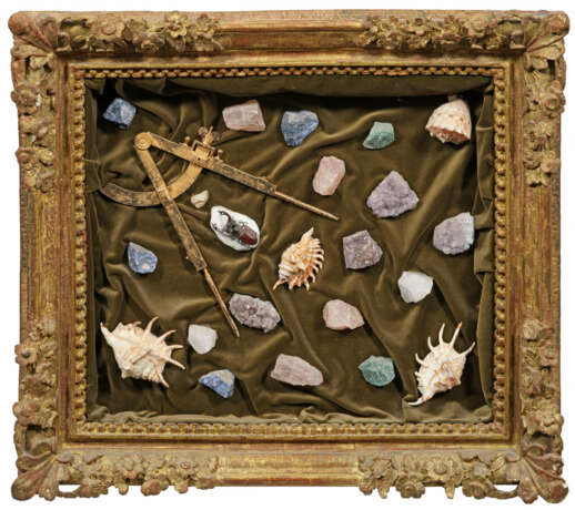 Außergewöhnlicher Wunderkammer-Schaukasten mit … - Foto 1