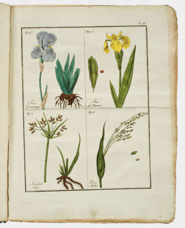Alexandre Vigneux "Flore pittoresque … - photo 1