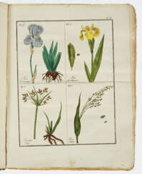 Alexandre Vigneux "Flore pittoresque …