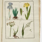 Alexandre Vigneux "Flore pittoresque … - photo 1