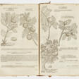 Matthias de Lobel: "Plantarum seu stirpi… - Аукционные цены