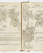 Антикварные книги. Matthias de Lobel: "Plantarum seu stirpi…