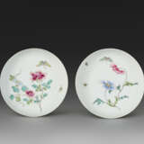 A PAIR OF FAMILLE ROSE `BUTTERFLY AND FLOWER` DISHES - Foto 1