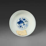 A BLUE AND WHITE `FISH AND LOTUS` CUP - Foto 4