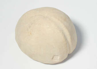 Fossil, Seeigel