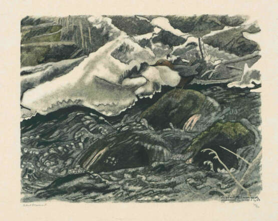 Robert Hainard - Foto 1