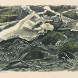 Robert Hainard - Foto 1