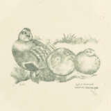 Robert Hainard - Foto 1