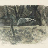 Robert Hainard - Foto 1