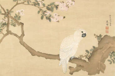 Druck nach Maruyama Okyo (1733- 1795): Kakadu auf einem blühenden Zweig
