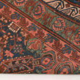 Seichur - photo 7