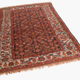 Kurde - photo 1