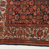 Kurde - photo 7