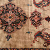 Bakhtiar - photo 12