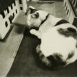 Vito Acconci. No one in the Plaza - Сейчас на аукционе