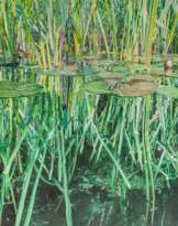 Johannes Schramm (München 1965). Stilles Grün.